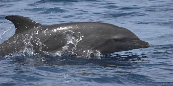 World Oceans Day 2015